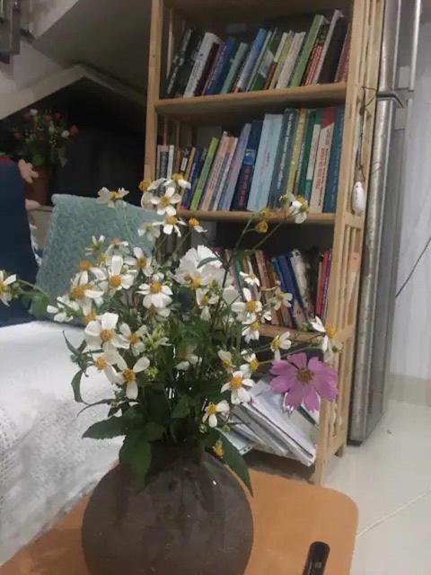 Lu Peaceful Homestay 다낭 외부 사진