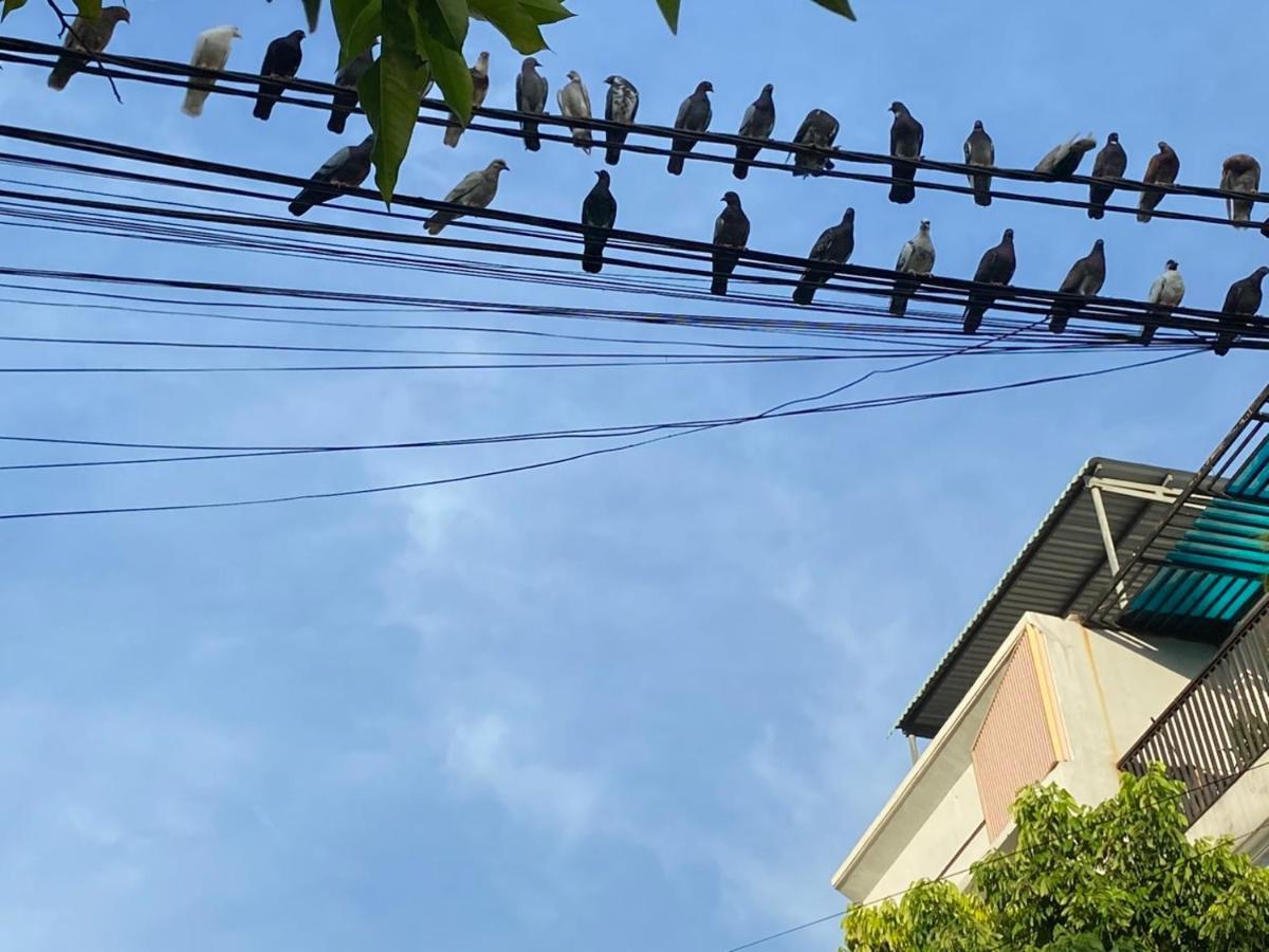 Lu Peaceful Homestay 다낭 외부 사진